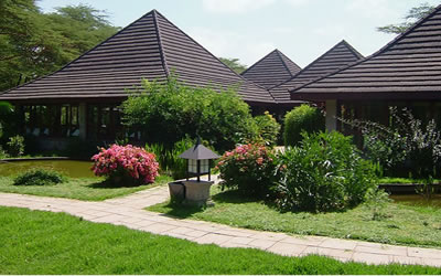 Simba Lodges Naivasha 